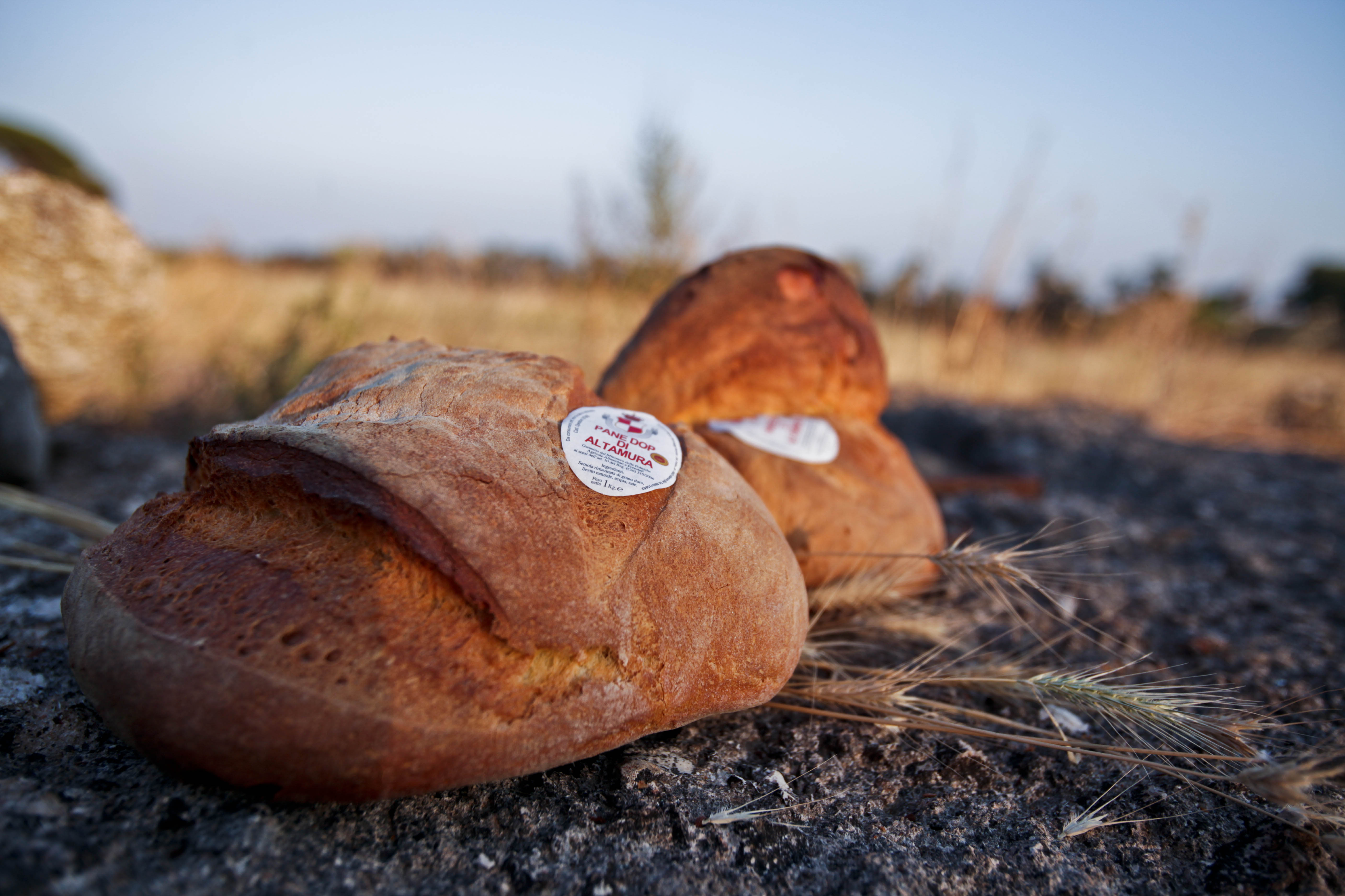 Pane di Altamura DOP